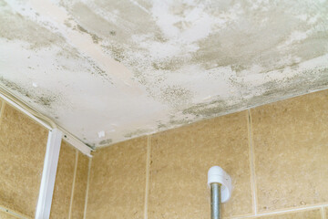 Mould in the ceiling of a bathroom
