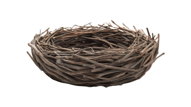 Bird's nest transparent background