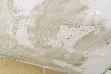 Mould in the ceiling of a bathroom
