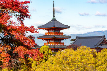 Fototapeta premium Pagoda of Kiyomizu-dera buddhist temple in autumn, Kyoto, Japan