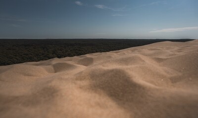 Scenic view of sandy dunes in a desert overlooking a dense forest in France