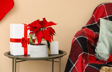 Christmas plant poinsettia with presents on table near beige wall in room
