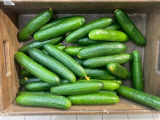 Cucumbers in a box on sale. Cucumbers in the store
