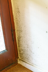 Obraz premium Mould in the ceiling of a bathroom