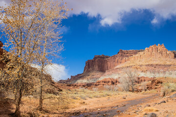 Reds Rocks of Capital Reef National Park Utah Hiking Trails 