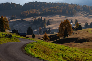 Dolomity , Alpy , Włochy , Italia , Góry © Daniel Folek