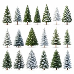 Fototapeta premium Christmas Trees with Snow isolated on transparent or white background 
