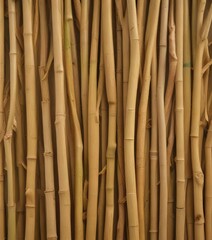 Fototapeta premium Bamboo straw texture with subtle waves and organic curves, background, plant