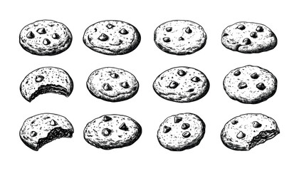 Obraz premium Engraving chocolate cookies. Bakery chips flour crispy treats, oatmeal confectionery crunches biscuit sweets, retro hand drawn black ink sketch isolated vectors on white background