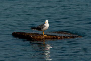 Sicilia, una terra da scoprire
