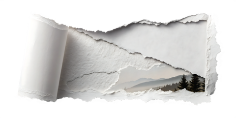 piece of white paper tear isolated on white background.AI GENERATED