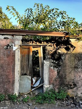 La porta rotta di una casa diroccata, con un albero cresciuto al suo interno come se fosse un ciuffo di capelli.