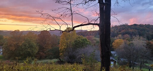 sunset in the forest © Kenzie
