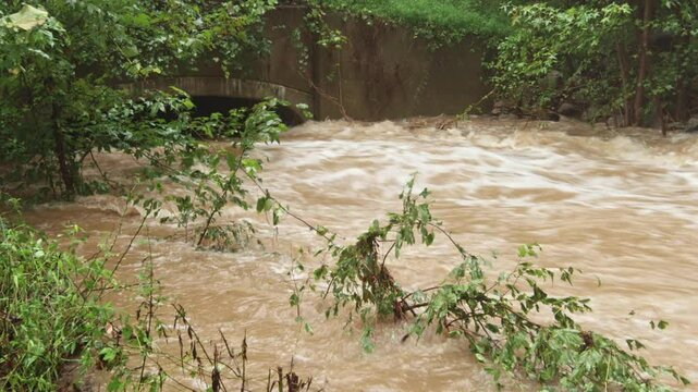 Medium shot of a swollen urban creek reaching to nearly the top of a culvert with submerged trees in Chapel Hill, North Carolina after Hurricane Florence. Ambient sound.