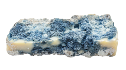 A blue and white block of mold, showcasing a textured surface with distinct fungal growth patterns.
