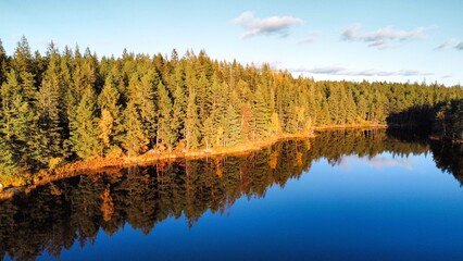 Landscape of Scandinavia, lake in the middle forest 