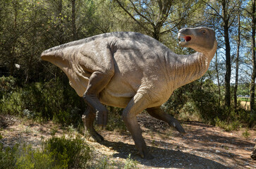 Iguanodon bernissartensis, Dent d'iguane, Musée Parc des Dinosaures, 34140, Mèze, Hérault, France