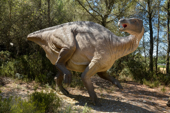 Iguanodon bernissartensis, Dent d'iguane, Mus&eacute;e Parc des Dinosaures, 34140, M&egrave;ze, H&eacute;rault, France