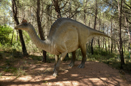 Hypacrosaure stebingeri, Reptile sous le somment, Mus&eacute;e Parc des Dinosaures, 34140, M&egrave;ze, H&eacute;rault, France