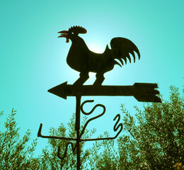 Veleta de hierro con forma de gallo.