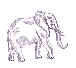 Hand drawing animal vector illustration. Animal illustrations sketch