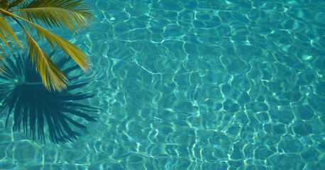 Top view of a blue calm and clear calm water surface, water texture with ripples and shadow of palm leafs, Zen and relaxing background, summer concept, © hdphotoai