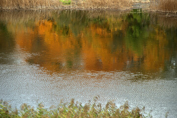 Autumn landscape to the river Venta near the city Kuldiga, Latvia. High quality photo