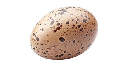 Obraz premium Egg transparent background