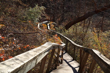 Old Crooked Bridge Tests The Faith And Bravery Of Hikers