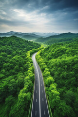 Fototapeta premium road in the middle of the forest aerial view Generative AI