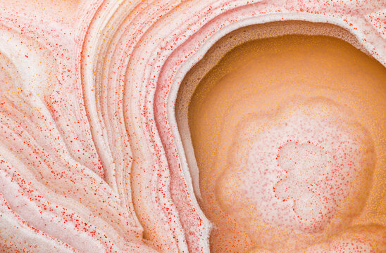 Macrophotograph of Laguna Agate's Intricate Structural Detail