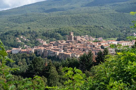 Scenic view of a charming town nestled in lush green hills
