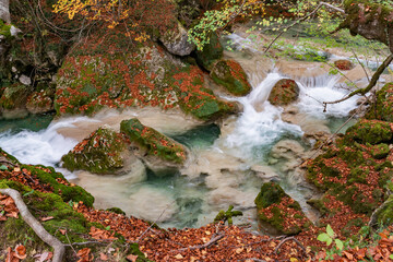 Tranquil forest stream with autumn leaves and mossy rocks