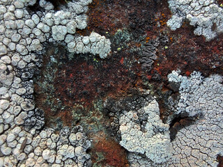 stone wall texture