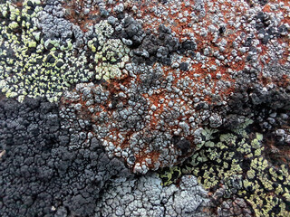 texture of the stone