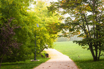 Autumn morning in the park, Serbia, the rays of the rising sun penetrate trees