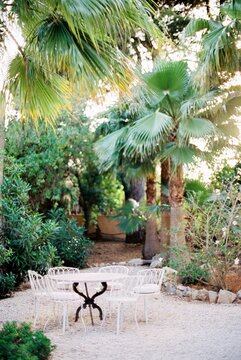 Garden of Eden 