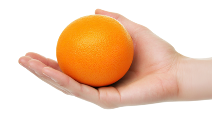 Hand holding a fresh orange fruit, isolated on transparent cutout background
