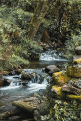 Rio Natureza