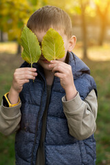 A child in a blue puffer vest holds a green leaf in front of their face, standing in a sunlit autumn park. The scene captures the essence of fall and childhood curiosity