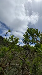 Obraz premium A nature photography in mountain