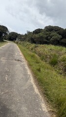 road in the mountains
