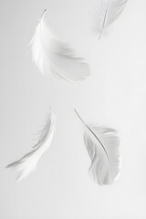 Fototapeta premium Ethereal Grace: White Feathers in Tranquil Descent on a Pristine Canvas