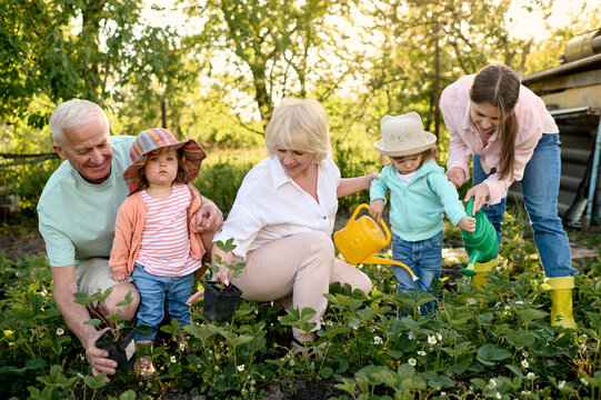 happy grandparents and granddaughters seeding flowers at summer garden