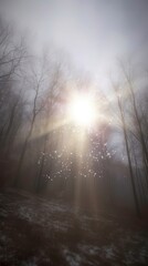 Ethereal Forest Light Breakthrough in Foggy Atmosphere
