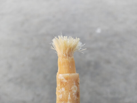 The miswak, miswaak, siwak, sewak, Arabic is a teeth cleaning twig made from the Salvadora persica tree. In Pakistan, miswak is known as Kayu Sugi (Malay for chewing stick)