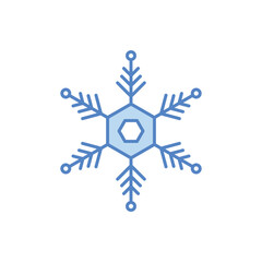 Snowflake vector icon