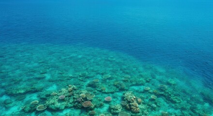 Fototapeta premium Tranquil underwater seascape with vibrant coral reef