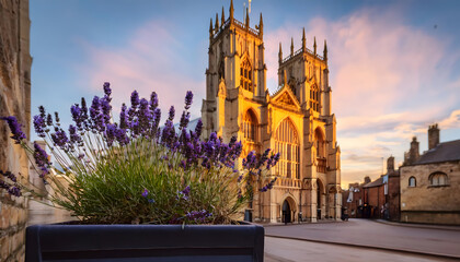 A beautiful flower box filled with lavender blossoms sits at the forefront, contrasting with the majestic York Minster bathed in golden light as the sun sets, creating a charming travel moment