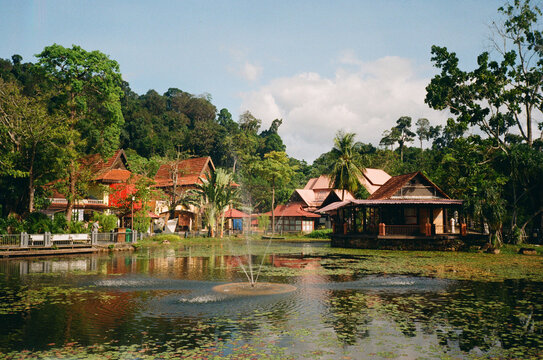 Green Landscape with Foliage and Water